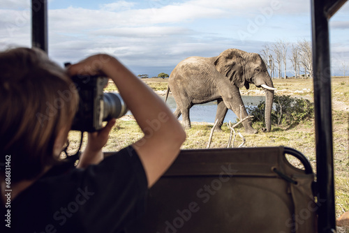 Back view of girl taking photo of an elephant, Inverdoorn game Reserve, Breede River DC, South Africa photo