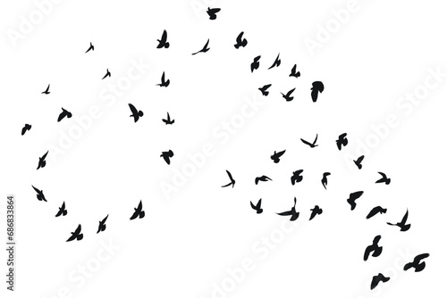 Silhouette sketch of a flock of flying forward birds. Takeoff, flying, flight, flutter, hover, soaring, landing © Mar
