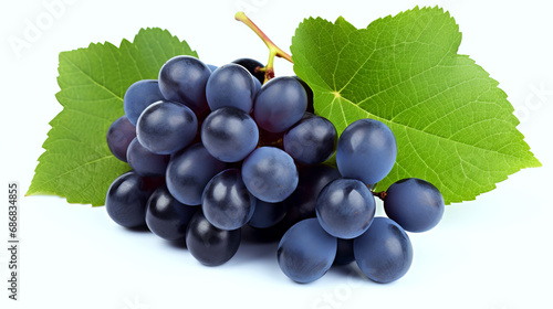 Bunch of ripe dark blue grapes isolated on white background.