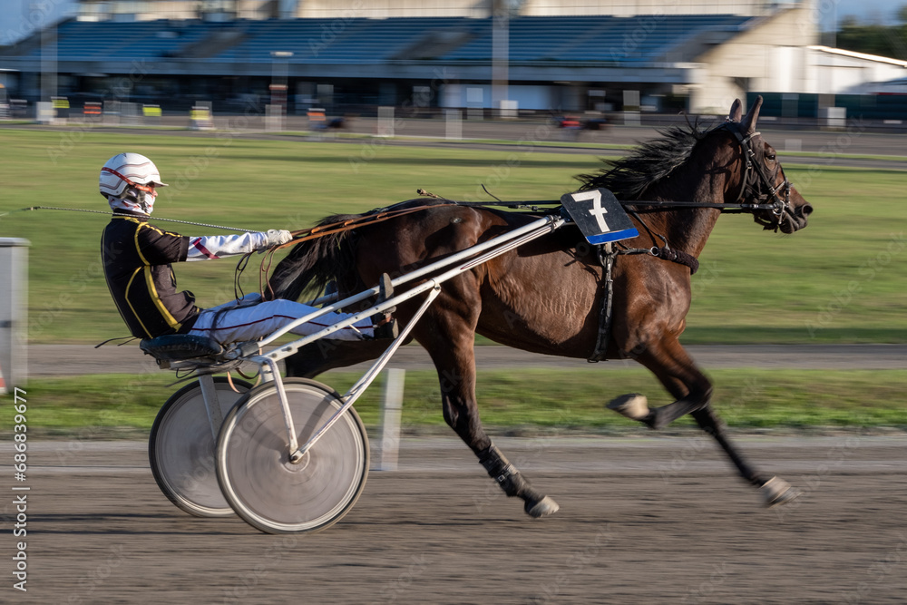 Racing horses trots and rider on a track of stadium. Competitions for trotting horse racing. Horses compete in harness racing. Horse runing at the track with rider.
Racing horses trots and rider on a track of stadium. Competitions for trotting horse racing. Horses compete in harness racing. Horse runing at the track with rider.
