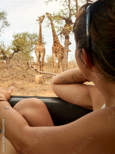 Woman watching pair of giraffes through car window, Kruger National Park, Mpumalanga, South Africa photo
