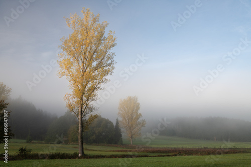 Landscape shot in Bavaria in autumn. Fog rises from the fields. The leaves on the trees have turned yellow.