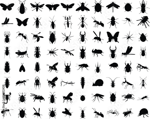 Big set of insects silhouettes. Vector illustrations isolated on white background