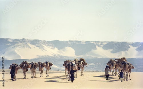 Caravane de sel à Bilma (Niger) photo