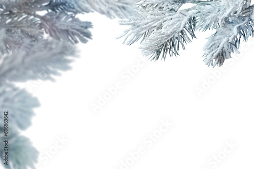 Frosty Christmas tree branches isolated on transparent background. Winter holiday design element photo