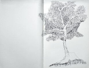 Acrylglasbilder Surrealismus Black ink drawing of a tree with many leaves  © vali_111