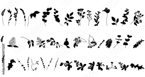 Set vector ink drawing silhouettes of grass and flowers, leaves for invitations, decor elements 