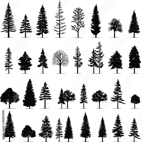 silhouette tree pine forest fir vector set nature black illustration isolated plant