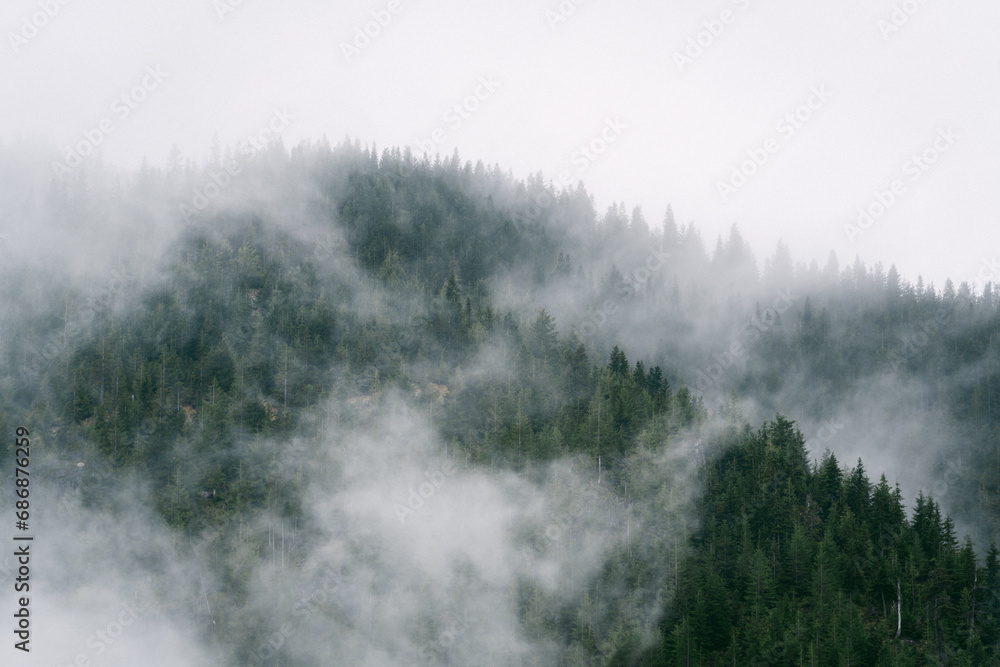 Misty mountain views from hiking trail along Snoqualmie Pass in Washington - obrazy, fototapety, plakaty 