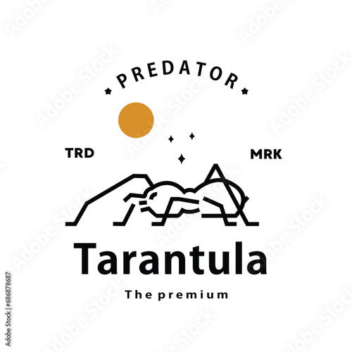 vintage retro hipster tarantula logo vector outline monoline art icon