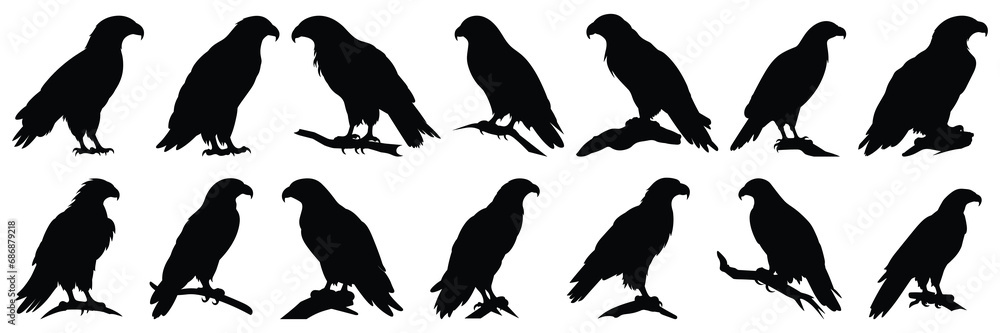 Fototapeta premium Eagle silhouettes set, large pack of vector silhouette design, isolated white background