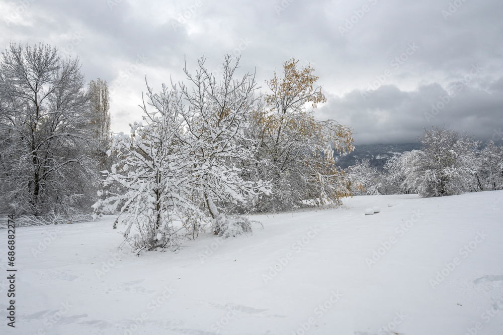 Winter Landscape of South Park in city of Sofia, Bulgaria Winter Landscape of South Park in city of Sofia, Bulgaria