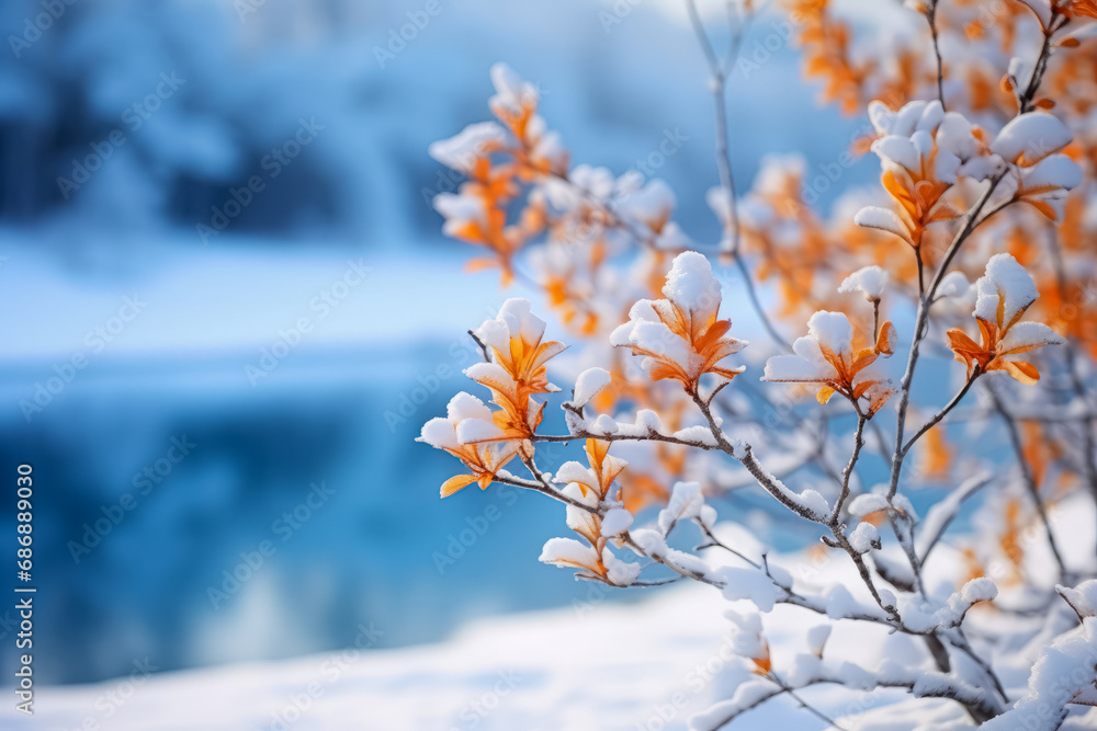 Vivid orange leaves capped with fresh snow, stand out against a soft blue winter background, creating a serene seasonal scene. Vivid orange leaves capped with fresh snow, stand out against a soft blue winter background, creating a serene seasonal scene.