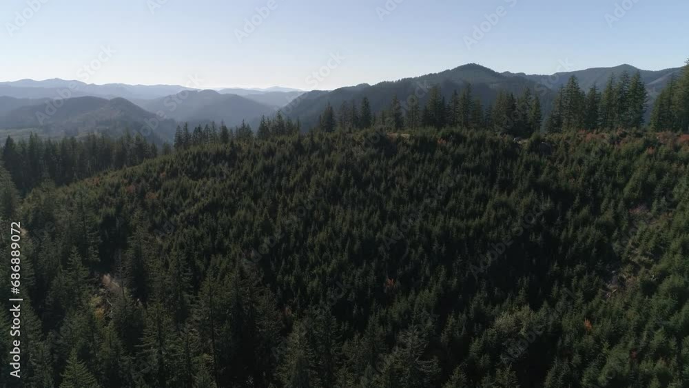 Pacific Forest Logging Sites Regrowth of Trees OregonAerial Video 8 Pacific Forest Logging Sites Regrowth of Trees OregonAerial Video 8