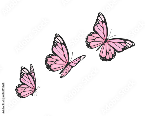 Canvas Print illustration of a butterfly