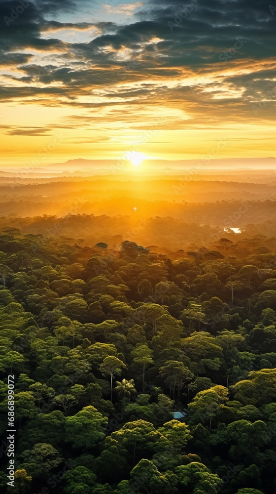 Top view of beautiful green amazon forest landscape at sunset sunrise. Air dron view vibe. AI generated.