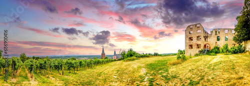 Burg, Oppenheim, Rheinland Pfalz, Deutschland 
