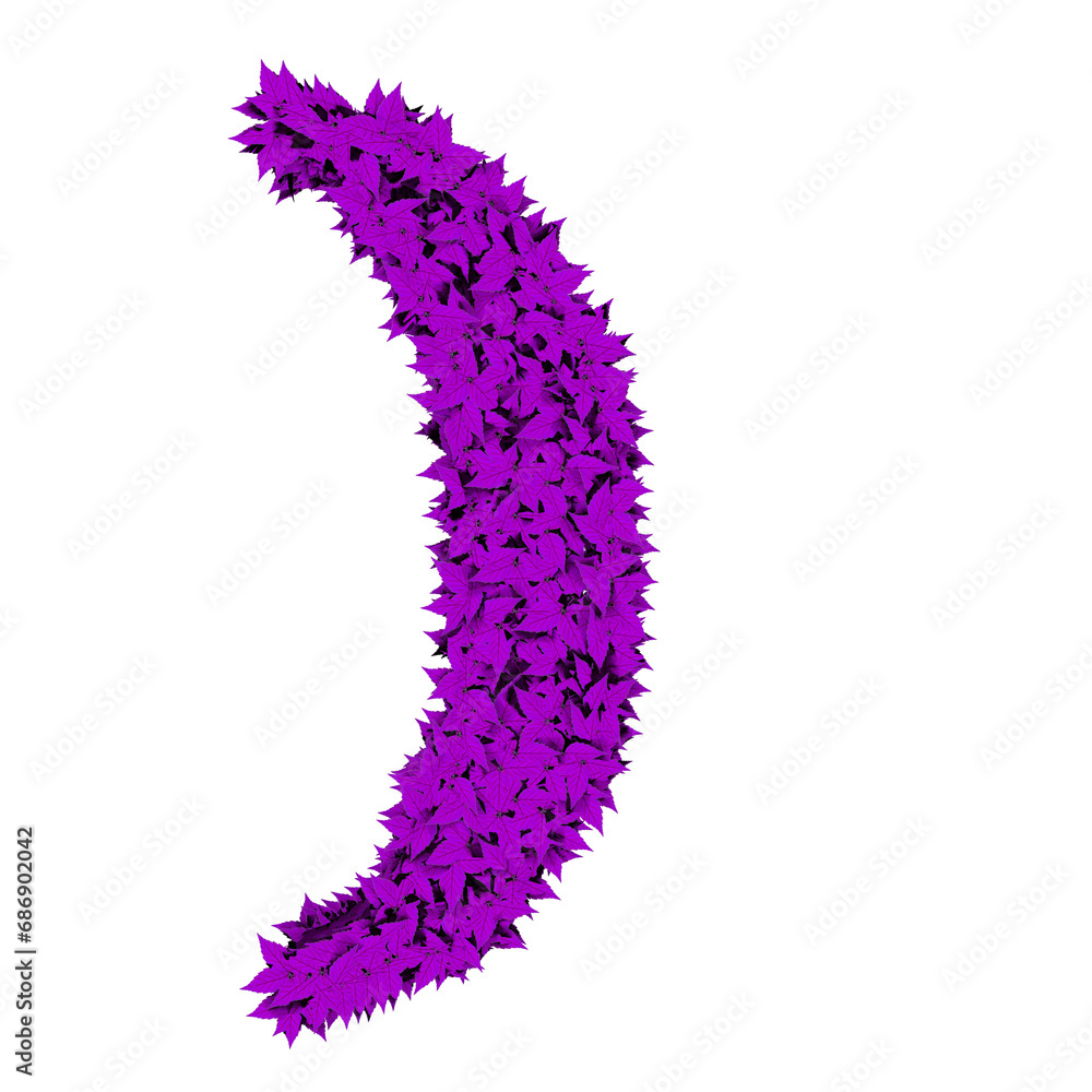 Symbol from purple leaves