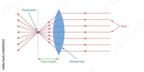 Convex lens diagram. Incident and refracted ray. Beam of light through converging lenses. Scientific resources for teachers and students.