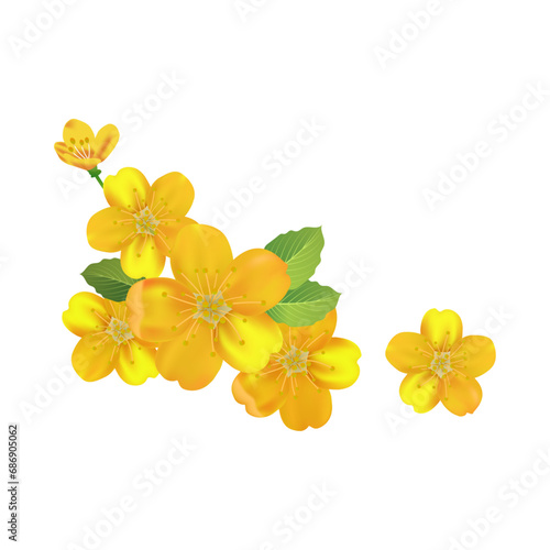 Fototapeta Naklejka Na Ścianę i Meble -  Vector blooming yellow flowers on white background