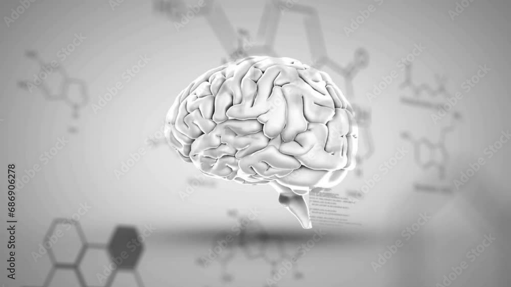 Animation of spinning brain over data processing and shapes on white background Animation of spinning brain over data processing and shapes on white background