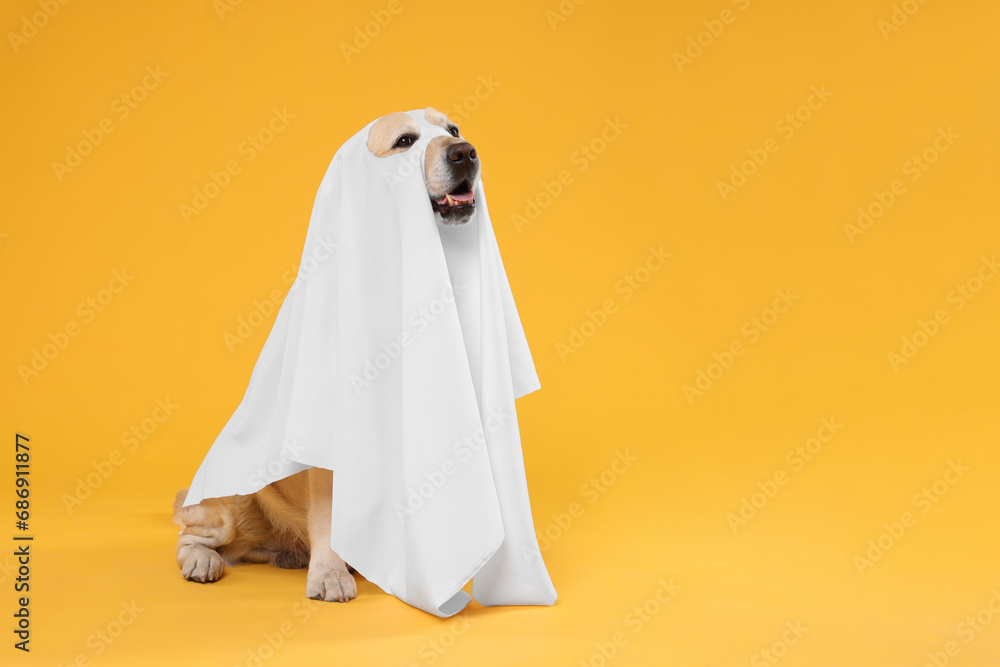 Cute Labrador Retriever dog wearing ghost costume on orange background, space for text. Halloween celebration Cute Labrador Retriever dog wearing ghost costume on orange background, space for text. Halloween celebration