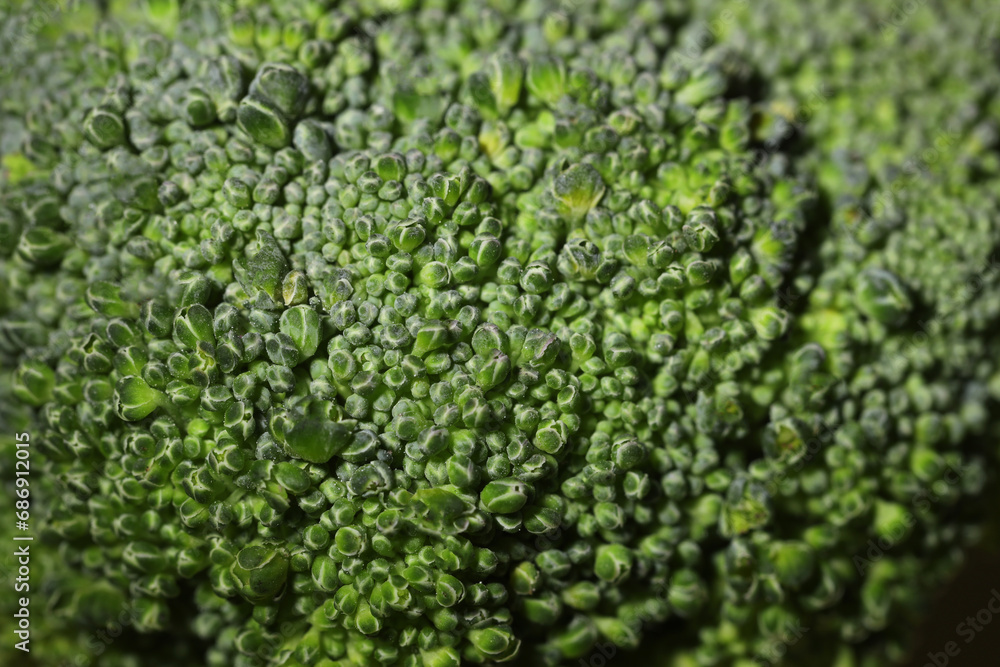 Closeup view of green fresh raw broccoli