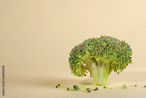 Fresh raw broccoli on beige background, space for text