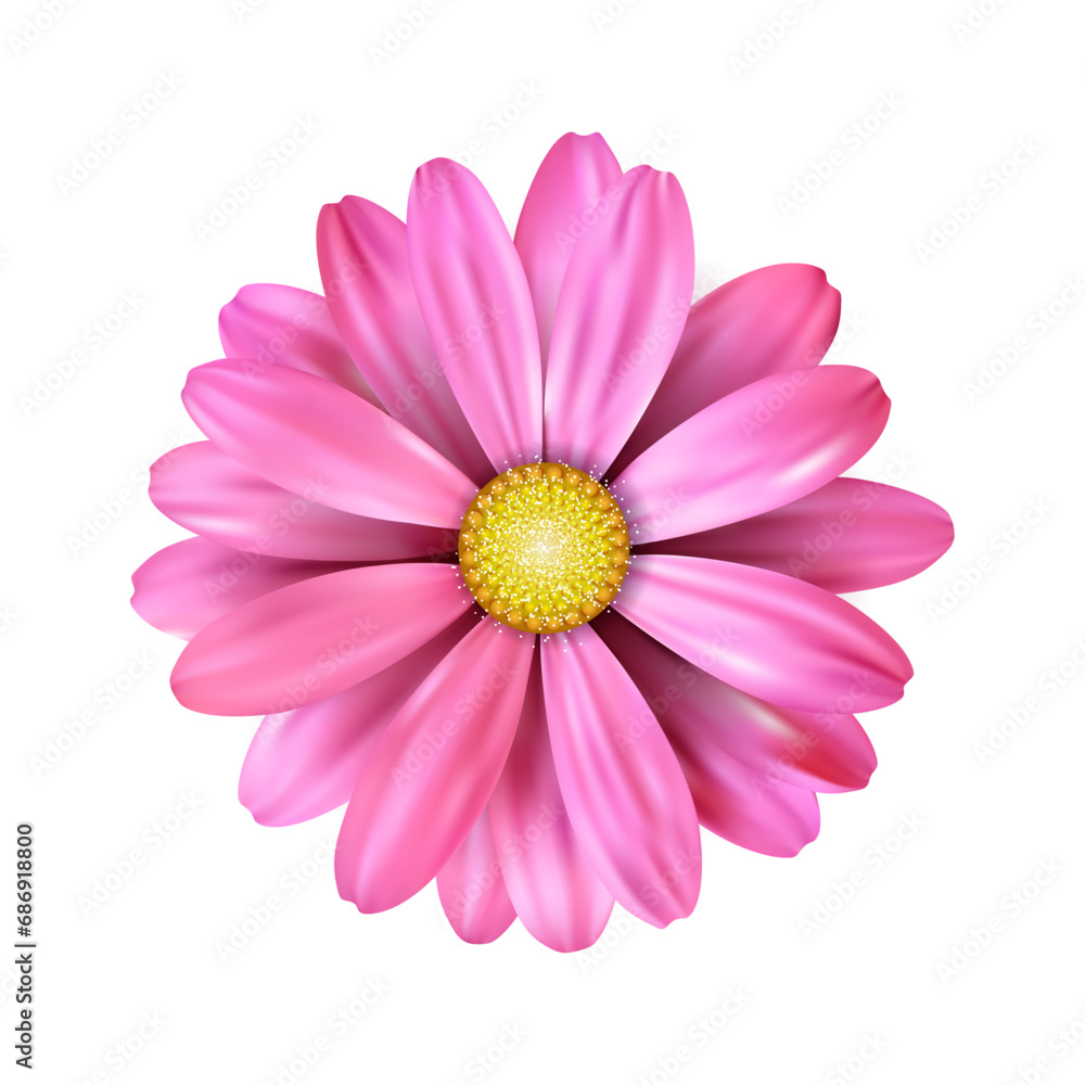 Vector a pink sunflower on white background