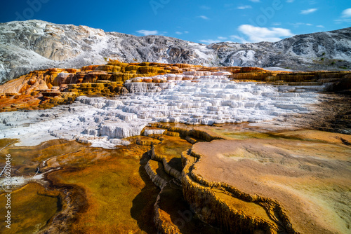 Mammoth Hot Spring in Yellow Stone National Park