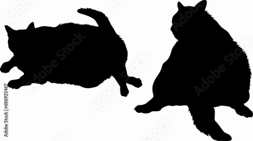 Set of two black fat cats illustrations - silhouettes of the fat cats isolated on white background-2匹の太った黒猫のイラスト	 photo