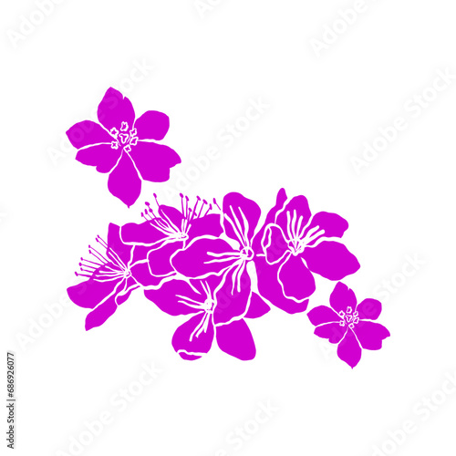 Make a Professional Flower Vector Illustration © Bernando