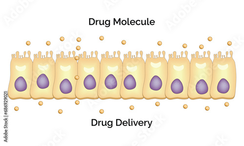 Drug Molecule and Drug Delivery Science Design Vector Illustration