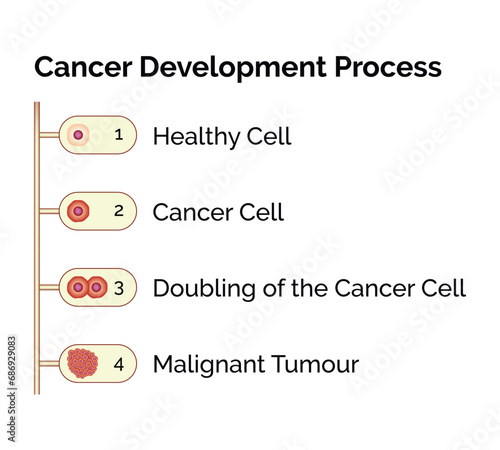 Cancer Cell Development Process Science Design Vector Illustration Diagram