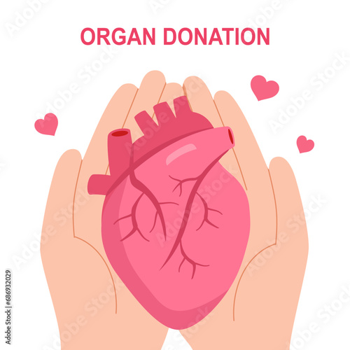 World organ donation day with human heart for transplantation, saving lives in flat design on white background.