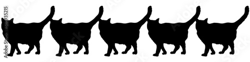 Five black cats in line vector illustrations - silhouettes of the 5 cats isolated on white background-5匹の並んだ黒猫のベクター素材	 photo
