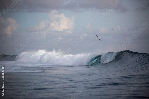 Waves in the sunset with birds flying over in Tahiti on a tropical island  photo