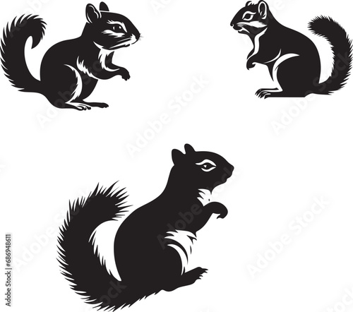 black and white silhouettes  isolated chipmunk set Vector on white background