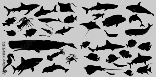 set of collections of black and white silhouettes of sea animals fish, sea life