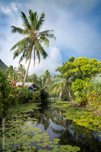 A stunning beautiful tropical paradise in Tahiti in a remote village surrounded by lush tropical trees and ferns on a pond 