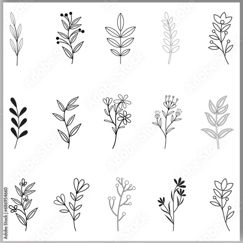 Botanical abstract line art, hand-drawn bouquets of herbs flowers branches vector