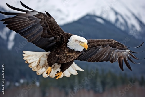 Photo of a majestic bald eagle in flight. Generative AI