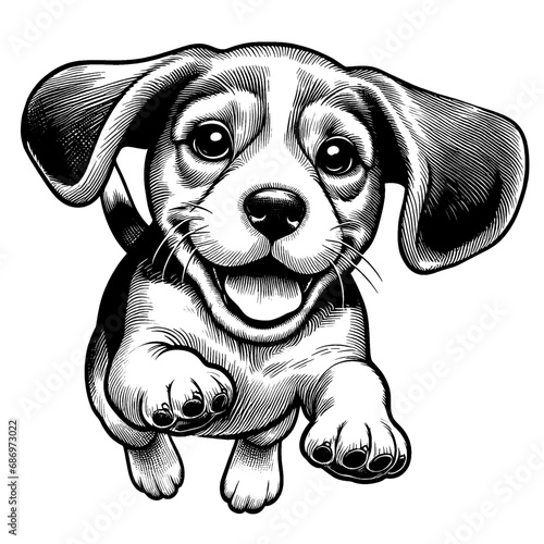 Happy Beagle jumping. Hand Drawn Pen and Ink. Vector Isolated in White. Engraving vintage style illustration for print, tattoo, t-shirt, coloring book