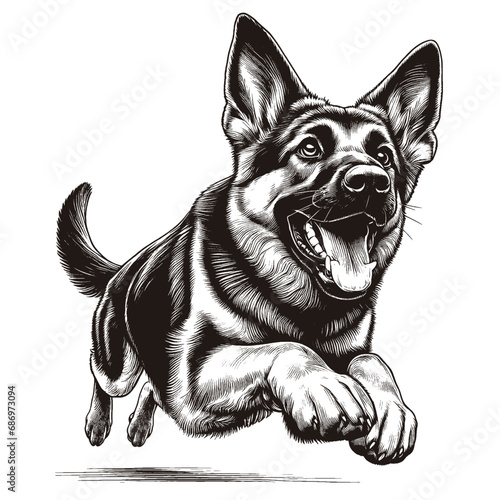 Happy German Shepherd jumping. Hand Drawn Pen and Ink. Vector Isolated in White. Engraving vintage style illustration for print, tattoo, t-shirt, sticker
