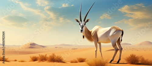 Scimitar Oryx thrive in their natural environment. photo