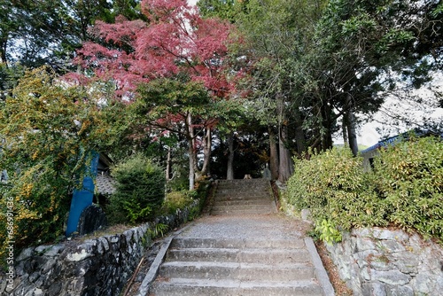 【和歌山】熊野古道（中辺路）