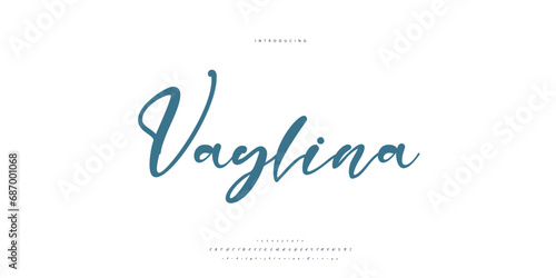 signature Font Calligraphy Logotype Script Brush Font Type Font lettering handwritten
