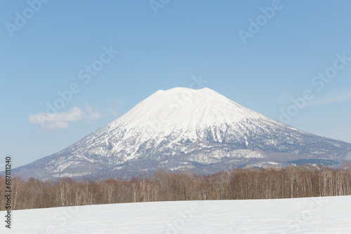 Snowcapped Mount Yotei stratovolcano mountain in Japanese winter forest landscape