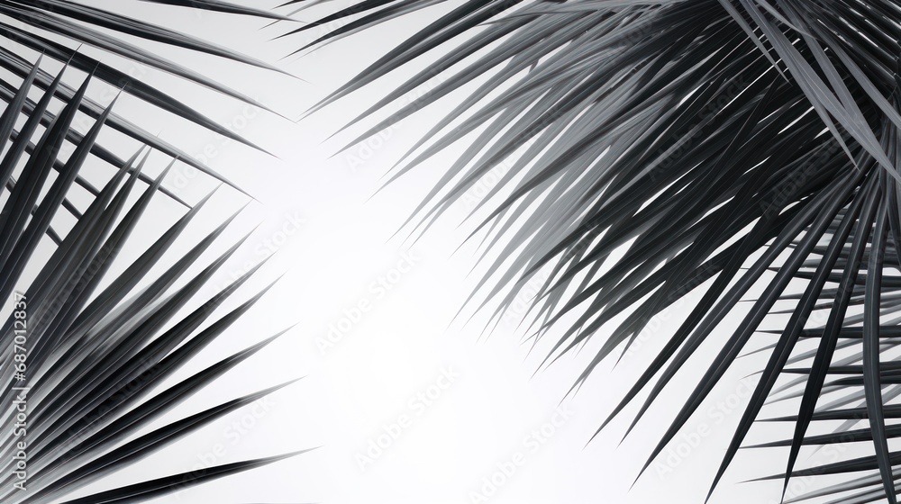 Fototapeta premium Abstract background of shiny palm leaves on isolated white background. White and black.