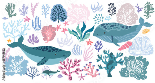 Cartoon  big  set with  seaweeds  and  whales, corals Beautiful doodle underwater marine life,  whale, coral reef, underwater plants  Vector cute flat  illustration.  